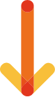 Vendée internation club export association