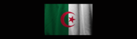 bannière consul d'algérie 2
