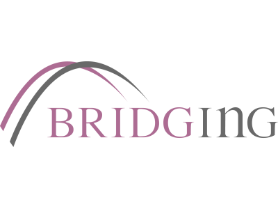 vendee international BRIDGING